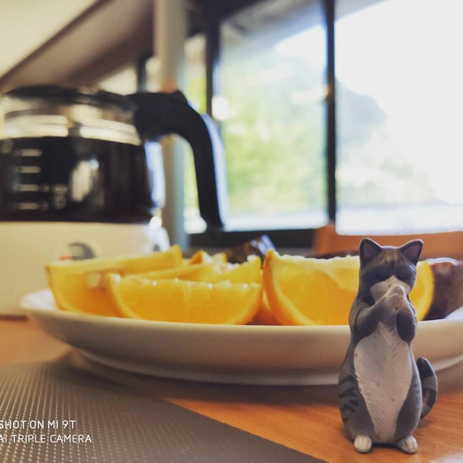 タイペイ ジングワーシー クラウド マウンテン ホームステイ B＆B 九份 エクステリア 写真